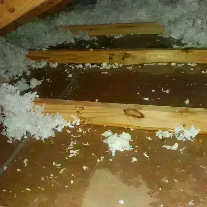 Attic Water Damage in Mountain View, NC