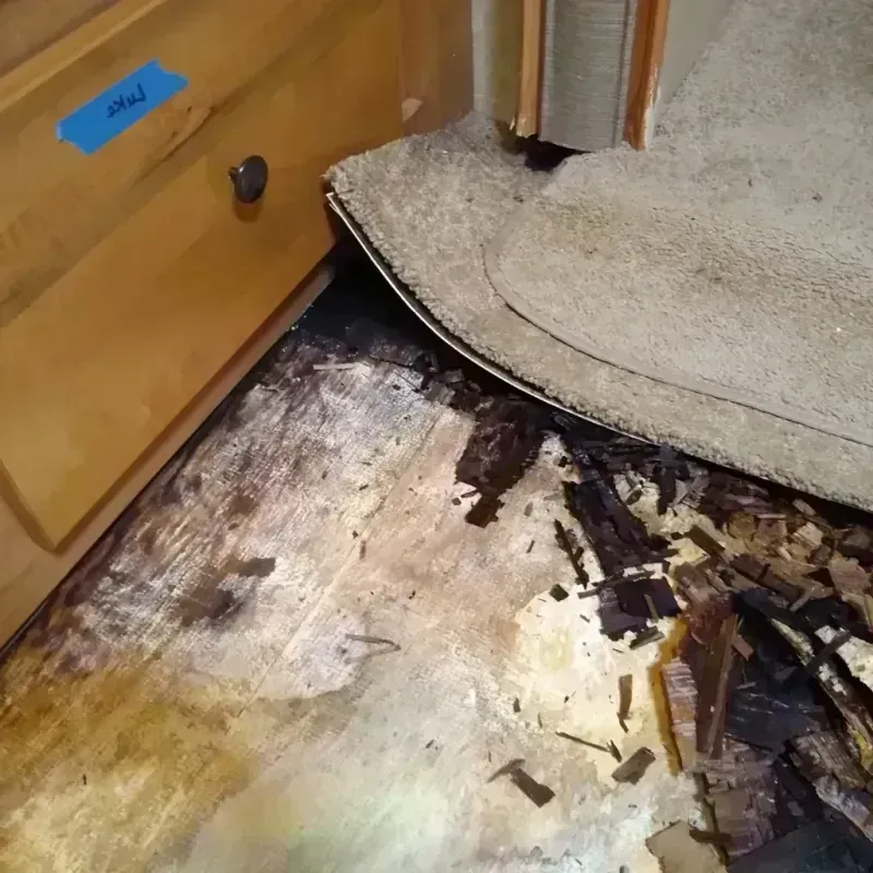 Wood Floor Water Damage in Mountain View, NC